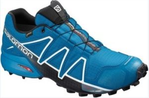 Salomon Běžecké / Krosové boty Speedcross 4 Gtx Goretex Modrá